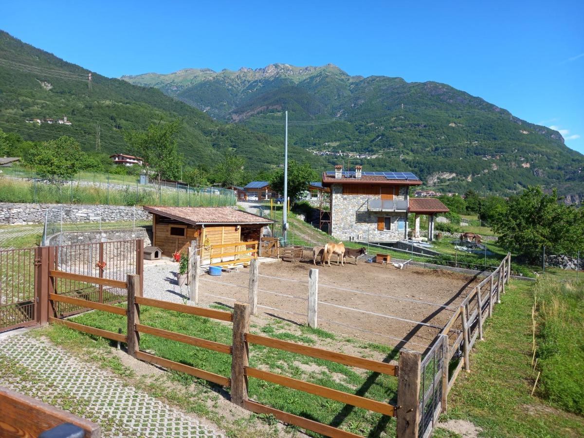 Azienda Agricola Agriturismo I Sei Petali Capo di Ponte 外观 照片